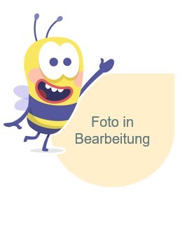Foto_in_Bearbeitung